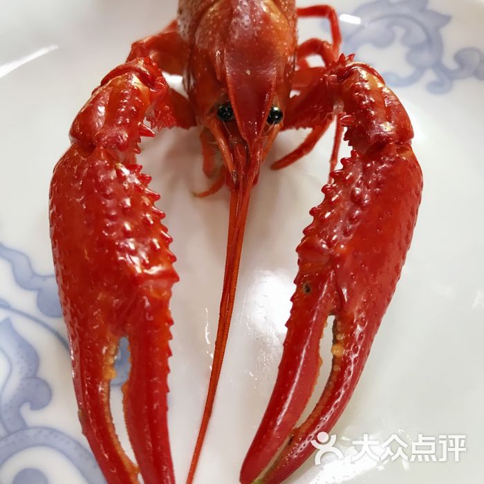 鲁小三龙虾