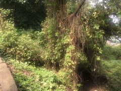 -金堂县云顶石城风景区