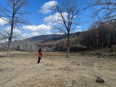 -芦芽山旅游度假区