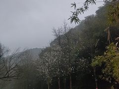 -十里琅珰