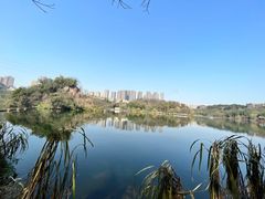 -重庆彩云湖湿地公园