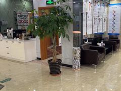 -茂菊口腔连锁(浦东南路店)