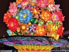 -锦江乐园舞狸花花游园会(夜场专享)