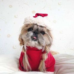 -3AM HAIR SALON染发烫发接发