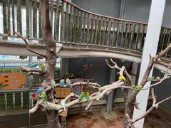 -正佳雨林生态植物园