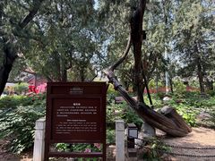 -北京市劳动人民文化宫(太庙)