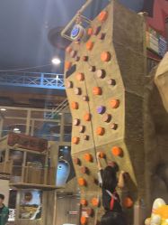 -卡通尼·Safari非洲探索乐园·生日会(金桥国际商业广场店)