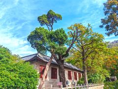 -青岛崂山太清宫