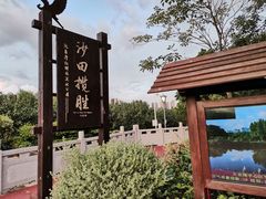 -大亚湾红树林城市湿地公园