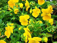 -华谊兄弟（长沙）电影小镇