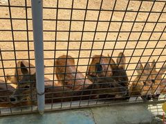 -泉州海丝野生动物世界