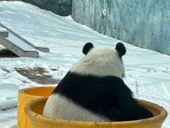 -鄂尔多斯野生动物园