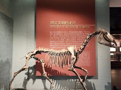 -齐齐哈尔市博物馆