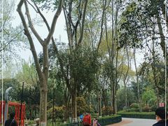 -西安市长乐公园