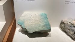 -上海星和医疗美容