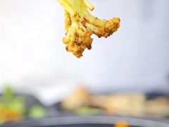 -靓蛙馆