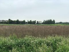 -郫都区农科村景区