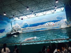 -秦皇岛乐岛海洋王国