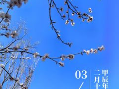 -北京奥林匹克公园