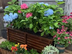 -龙姐私房菜(和顺古镇店)