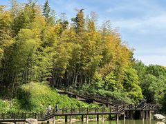 -宝岩生态观光园