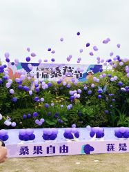 -太湖雪蚕桑文化园