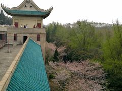 -武汉大学-樱园