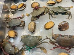 -南拳十三姨·潮汕砂锅粥·粤菜(西单大悦城店)