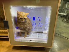 -PETKIT小佩宠物·低压洗护(国顺东路店)