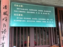 -千岛湖石林