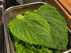 -Dombe豚(黑猪肉街店)