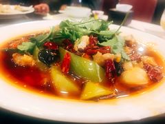 -新南华大酒店(长寿店)