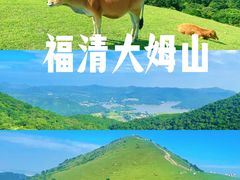-大姆山草场