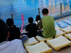 -北戴河圣蓝海洋公园