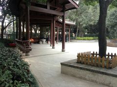 -光明港公园