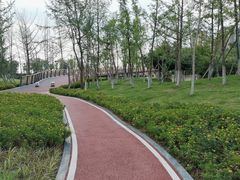 -府河摄影公园