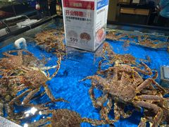 帝王蟹（1.5-2.0KG）-盒马鲜生(馥邦国际店)
