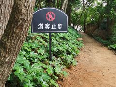 -马王堆汉墓遗址