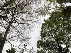 -清远熹乐谷温泉度假酒店