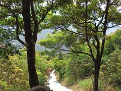 -梧桐山风景名胜区