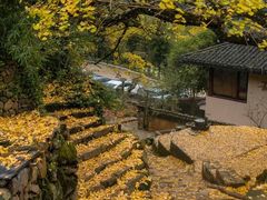 -四明山国家森林公园