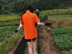 -罗坑大草原