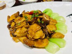香煎松茸菌-黄鹤楼大酒店(友谊北大街店)