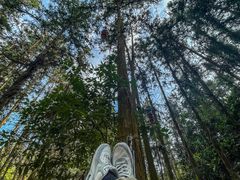 -英西峰林九重天景区