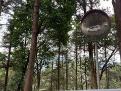 -广州市石门国家森林公园