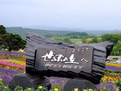 -富田农场