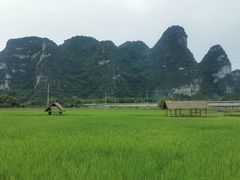 -明仕田园