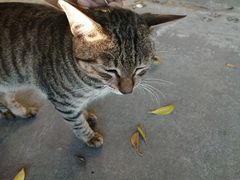 -小象钓虾·营地烧烤(洛溪店)