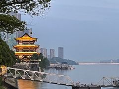 -杜甫江阁