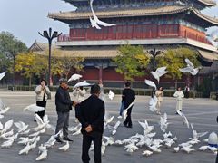 -天津妈祖文化园